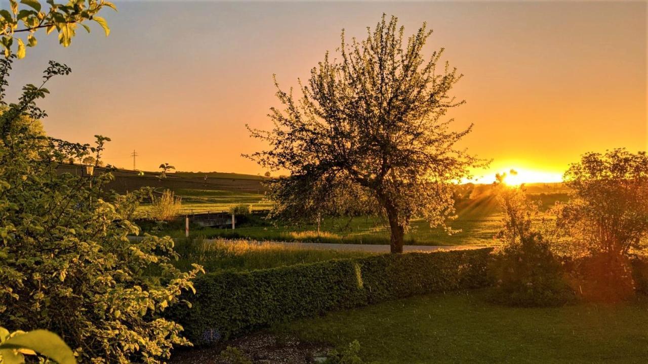 Pension Margaretenhof Hotel Bayerbach Kültér fotó