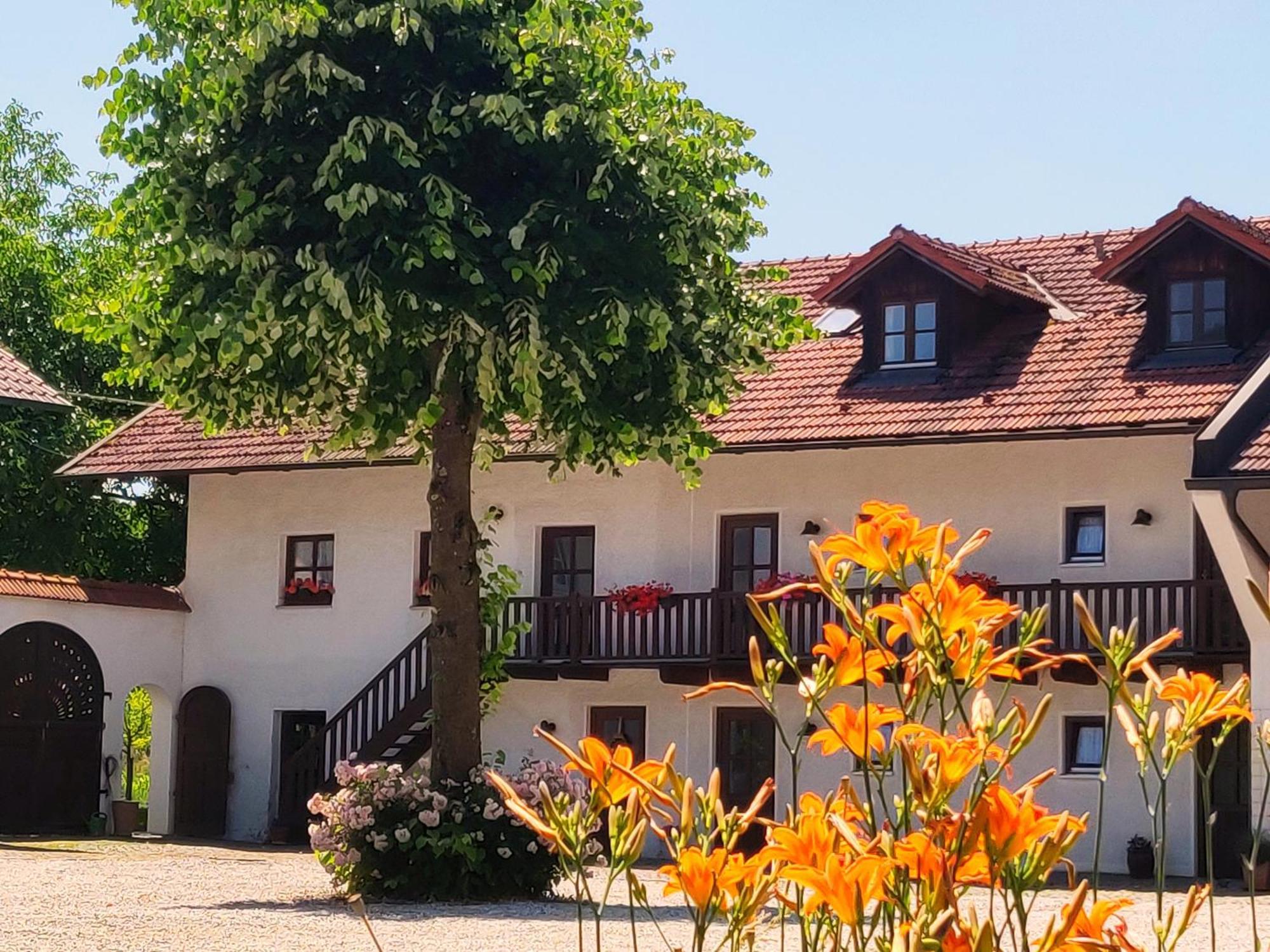 Pension Margaretenhof Hotel Bayerbach Kültér fotó