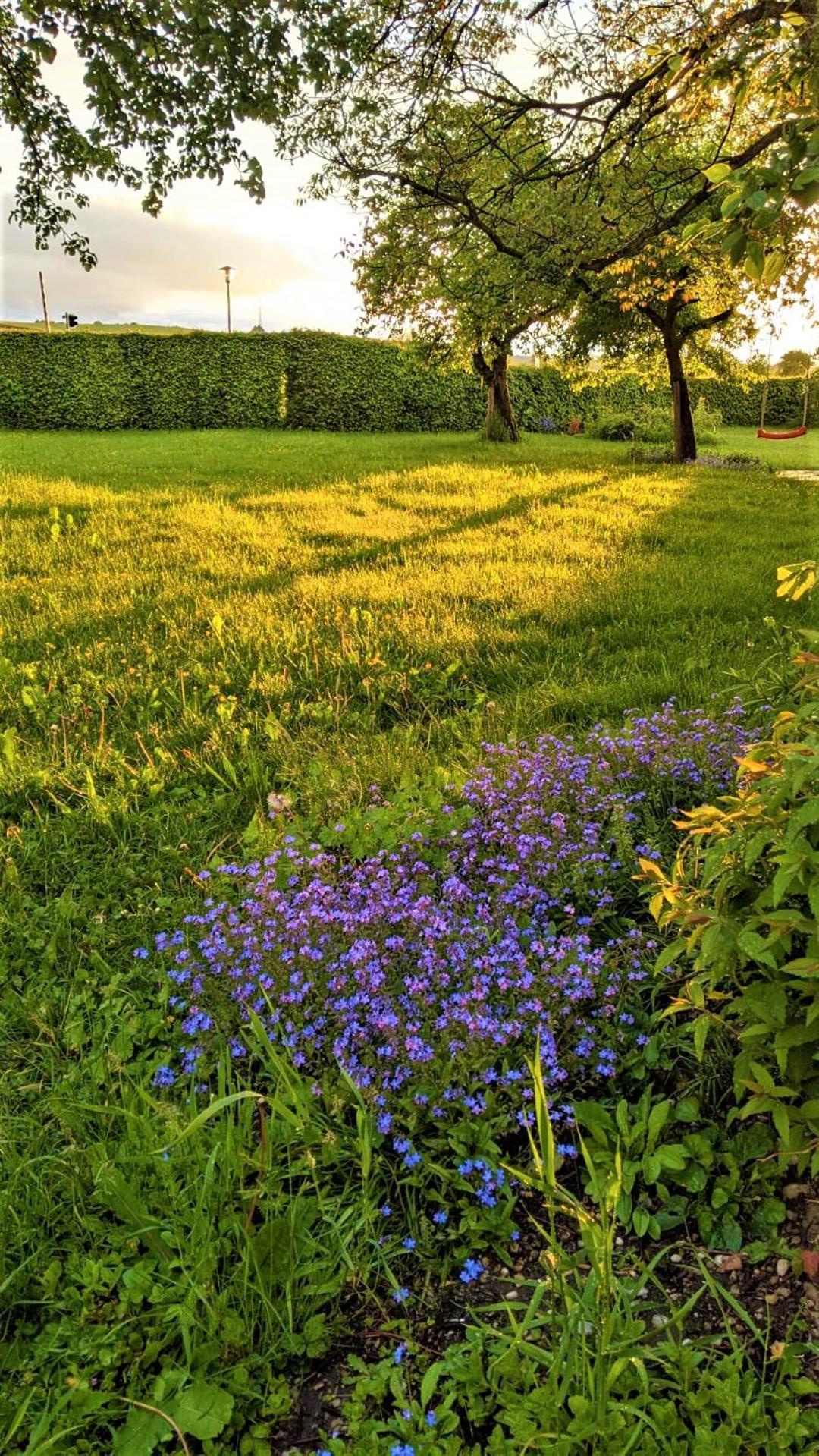 Pension Margaretenhof Hotel Bayerbach Kültér fotó